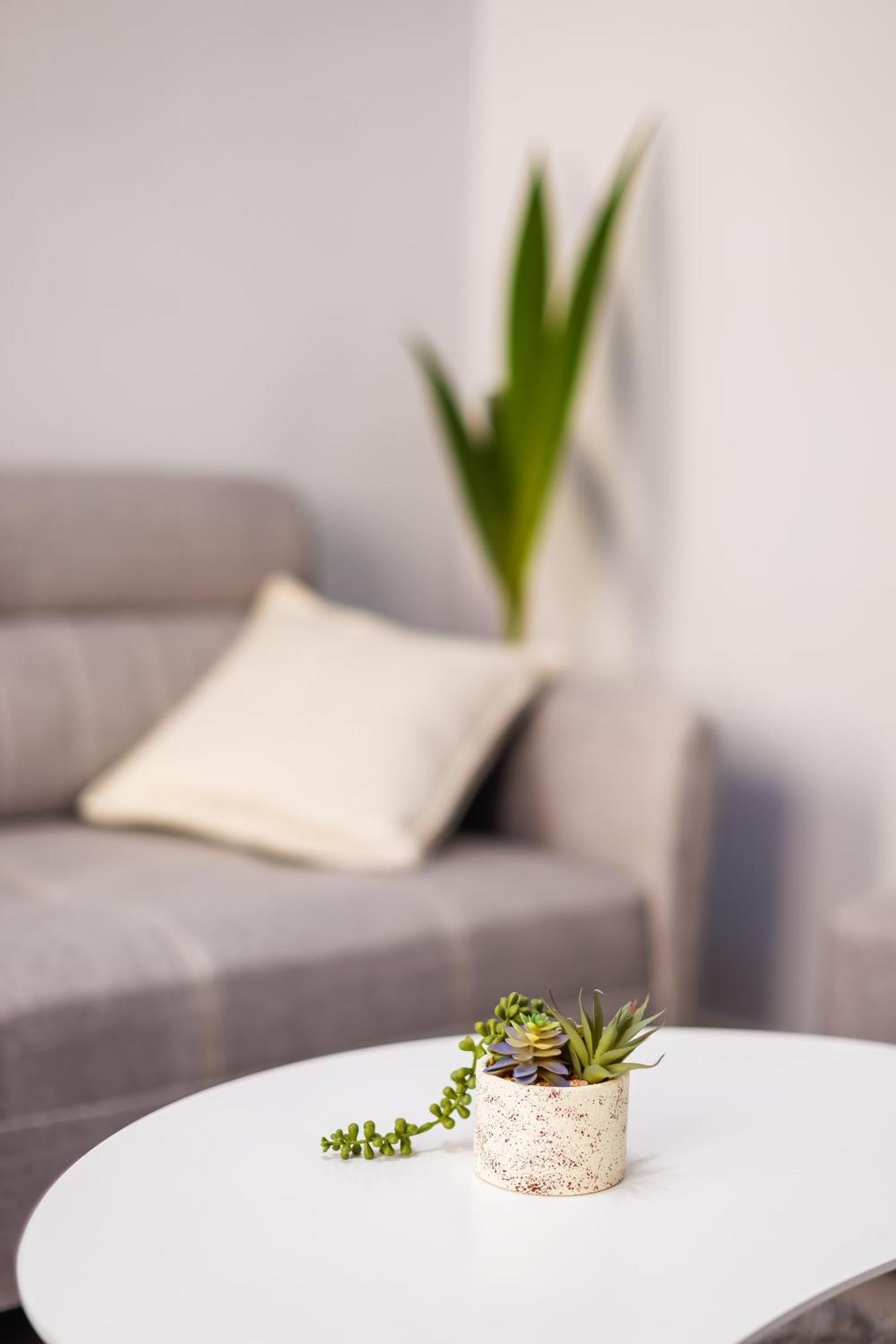 Viewpoint Central Apartment Tirana Extérieur photo